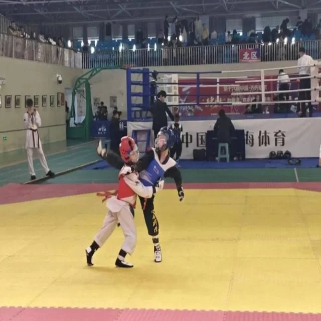 数据视角下的第355组转会市场趋势深度观察